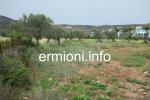 GL 0198 - Coastal Land - Dardiza - Ermioni